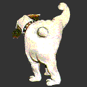 Avatar de l’utilisateur